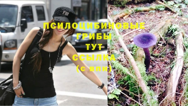 mdma Елабуга