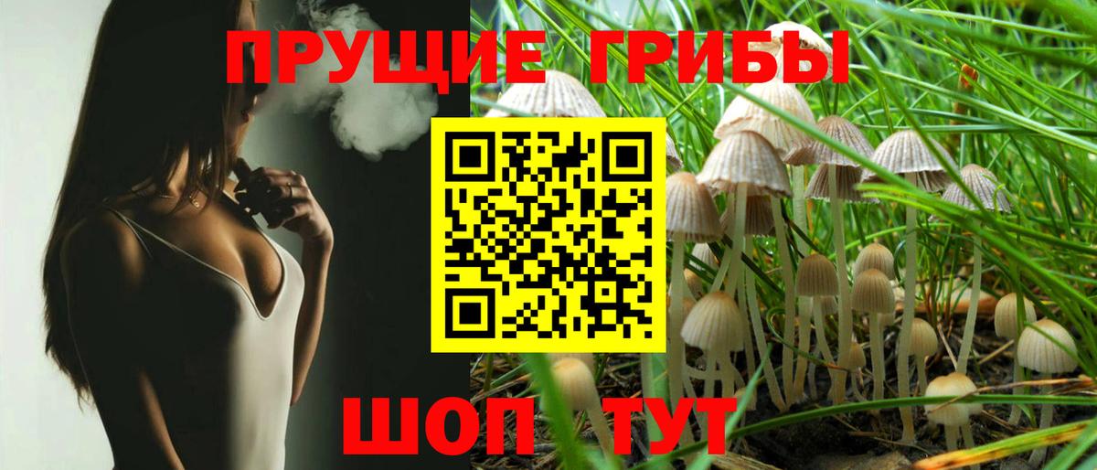 Галлюциногенные грибы прущие грибы  Псилоцибиновые грибы Cubensis  Пермь  Вход с VPN 